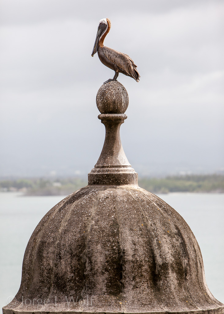 Paseo del Moro